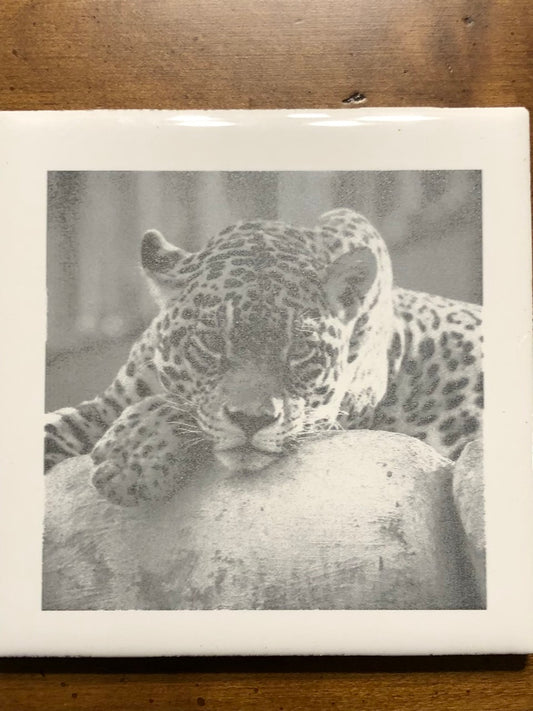 'Leopard' on a Four Inch White Ceramic Tile
